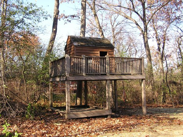 tree house in back yard