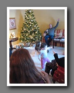 [Click to enlarge image]