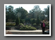 [Click to enlarge image]