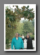 [Click to enlarge image]