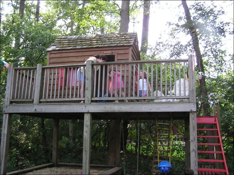 Robinson's in the Tree House