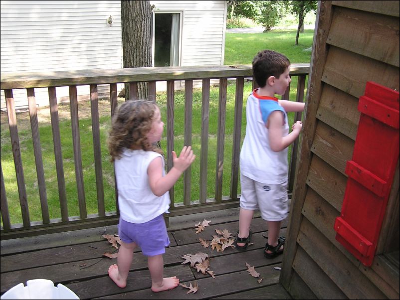 Robinson's in the Tree House