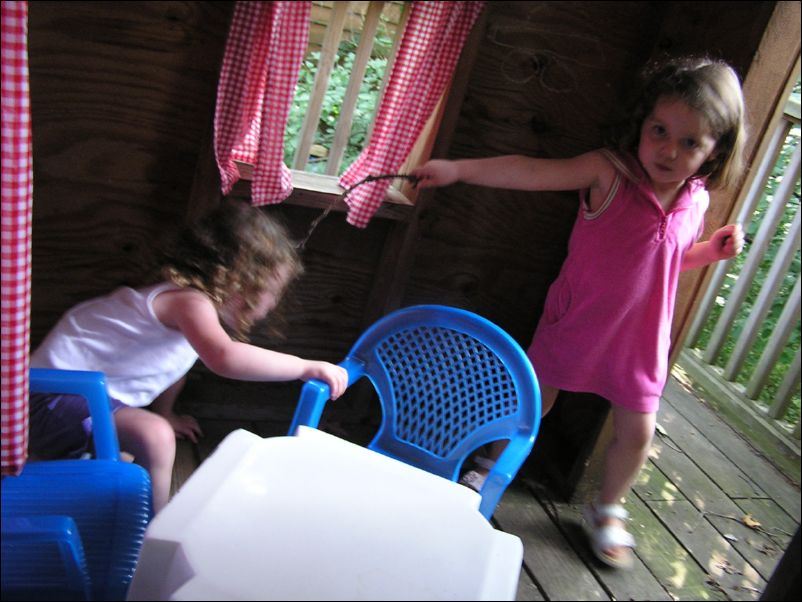 Robinson's in the Tree House