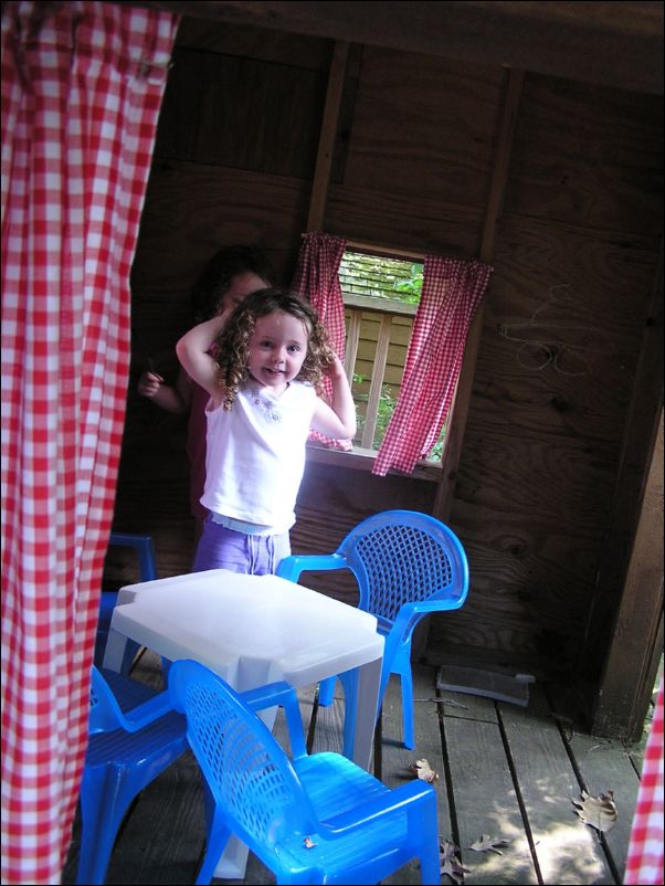 Robinson's in the Tree House